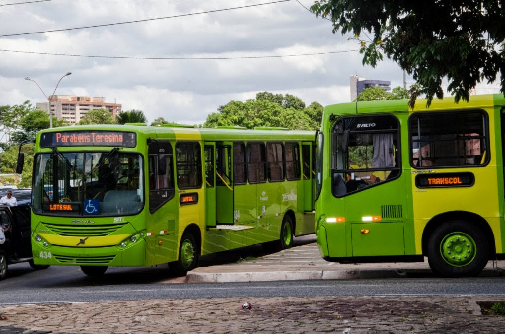 ônibus transcol