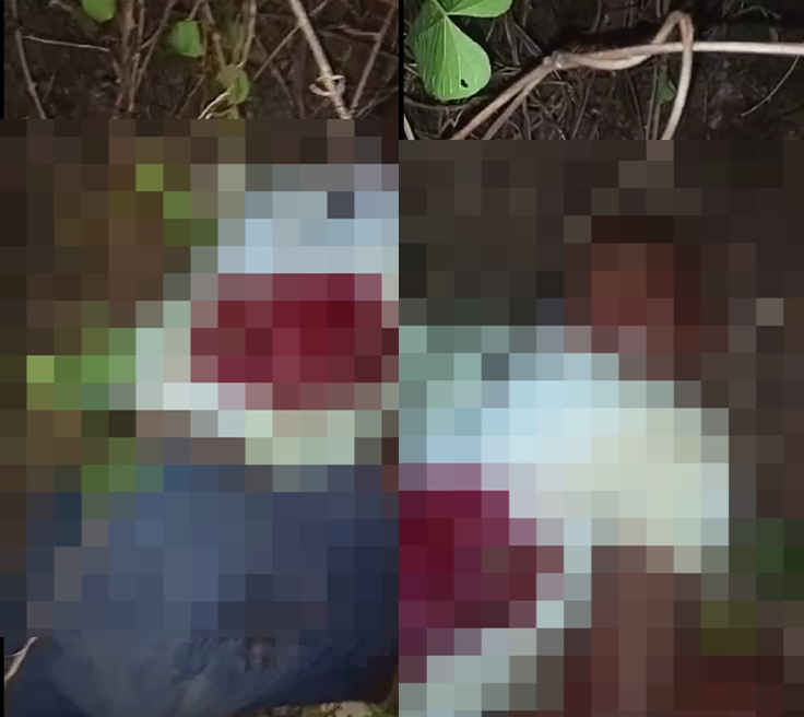 Homem é assassinado em terreno baldio no Nova Teresina; 5 crimes em 24h