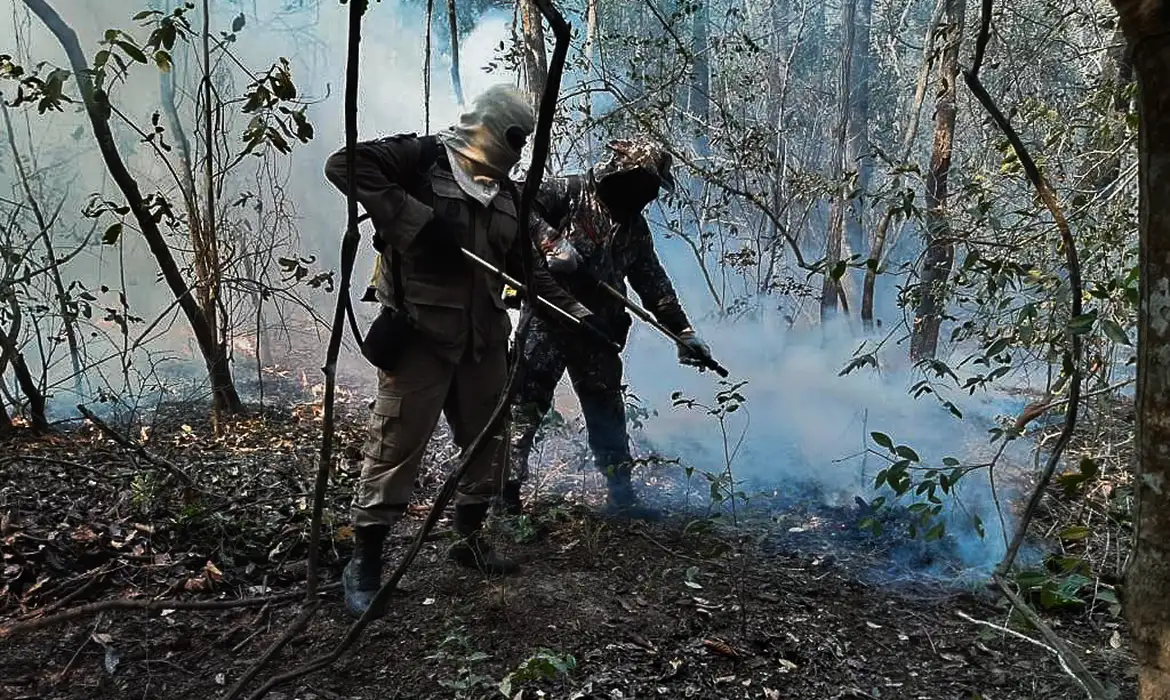 Governo reforça ações de combate ao fogo no Pantanal