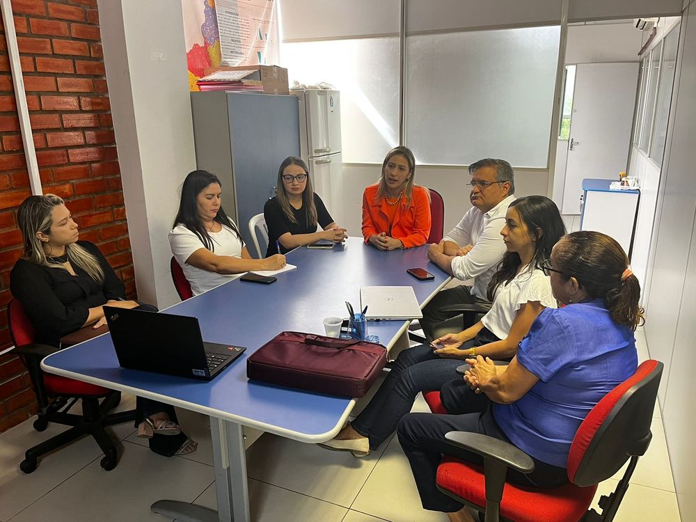Sesapi realiza oficina de implantação de Comitês Municipais de Prevenção da Mortalidade Materno Infantil e Fetal no Piauí