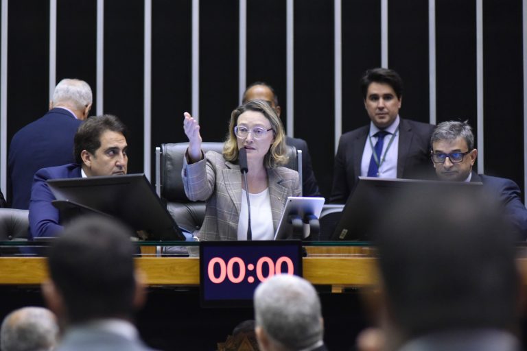 Deputada Maria do Rosário preside a sessão do Plenário