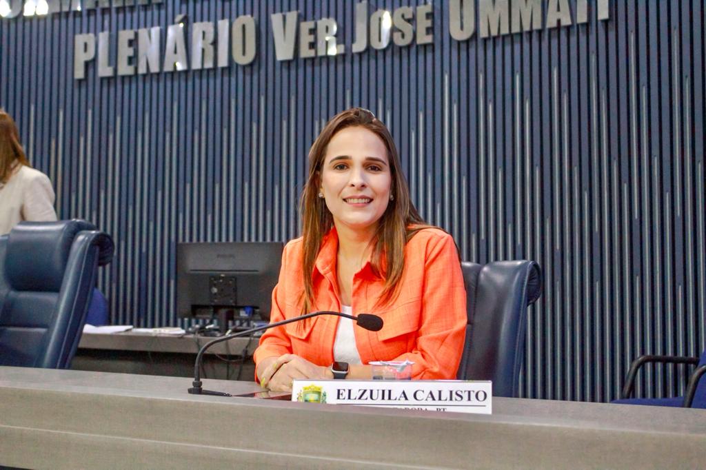 PL apresentada pela vereadora Elzuila Calisto (PT) segue para votação