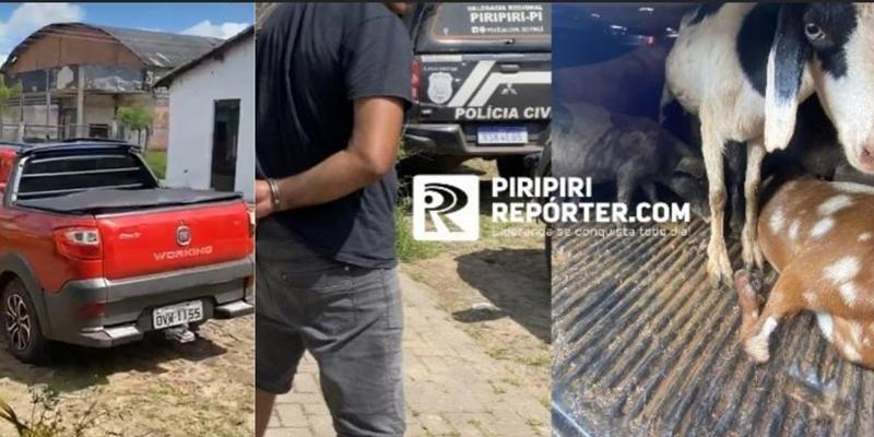 Dupla é presa em flagrante por furto de animais em Piripiri