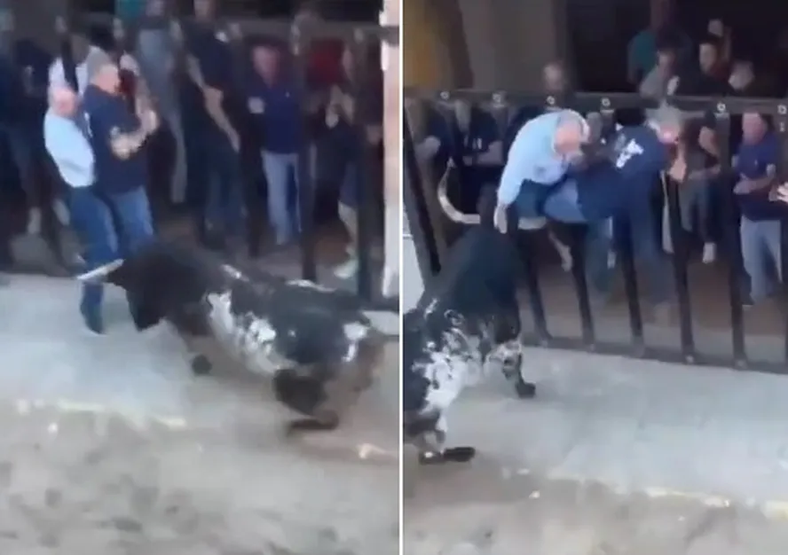 Homem morre e outro fica ferido após serem chifrados por touro na Espanha