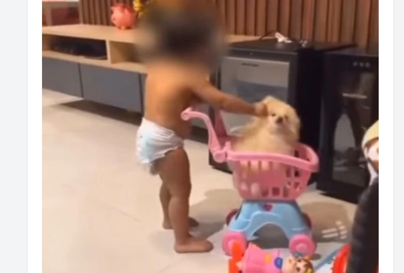 Mãe incentiva filha a maltratar cachorro em vídeo viral nas redes sociais