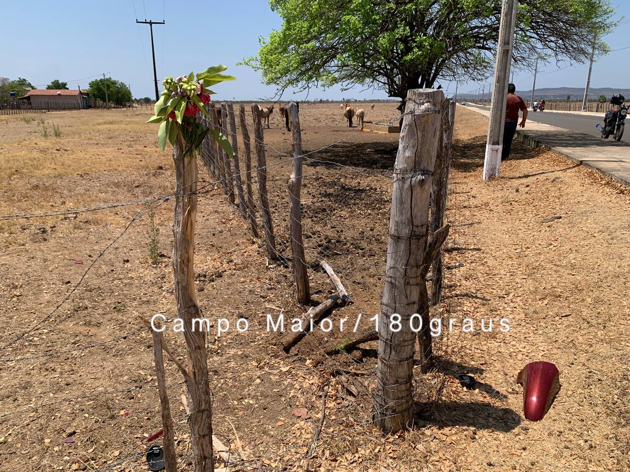 Pin em Notícias de Campo Maior