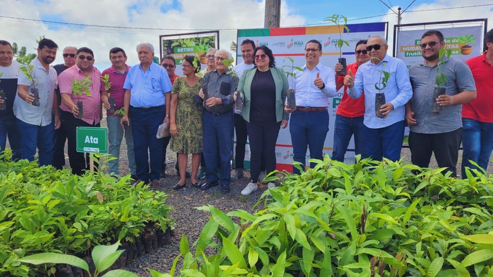 PRO Verde Piauí: Piripiri recebe 30 mil mudas nativas e frutíferas em ação do programa