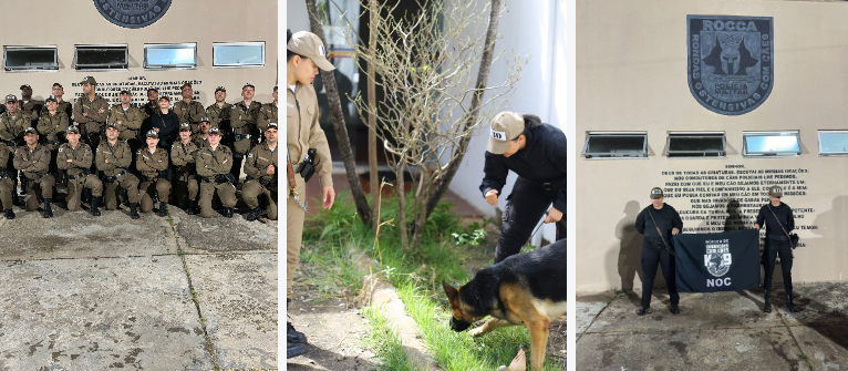 Polícia Civil e FEISP participam de Estágio de Condução de Cães de Detecção
