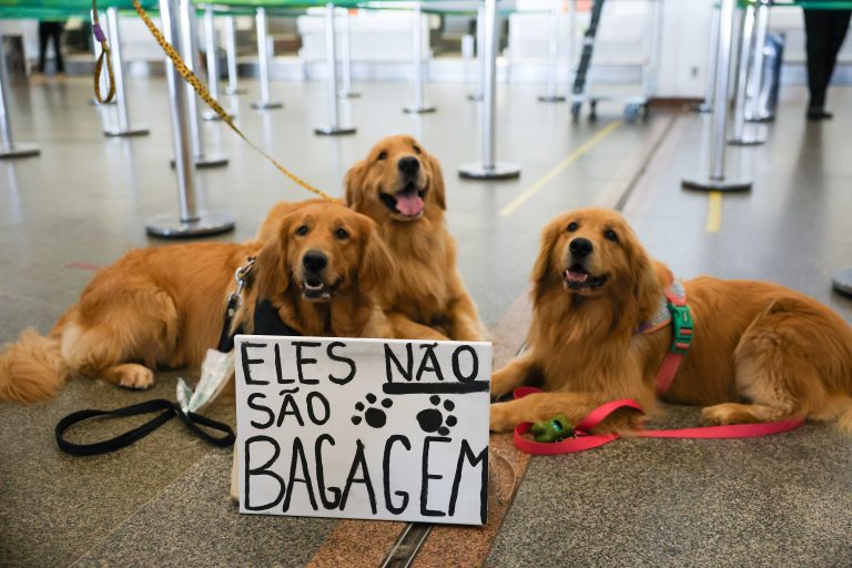 Rodrigues-Pozzebom/ Agência Brasil