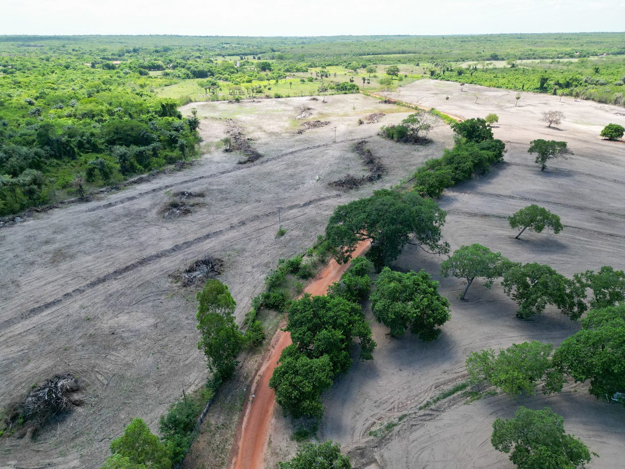 Governo cria Plano Estadual de Prevenção e Combate ao Desmatamento Ilegal do Piauí
