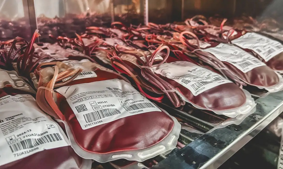 Bolsas de sangue