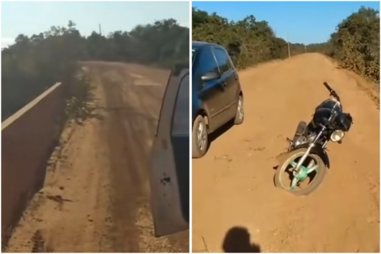 Reprodução