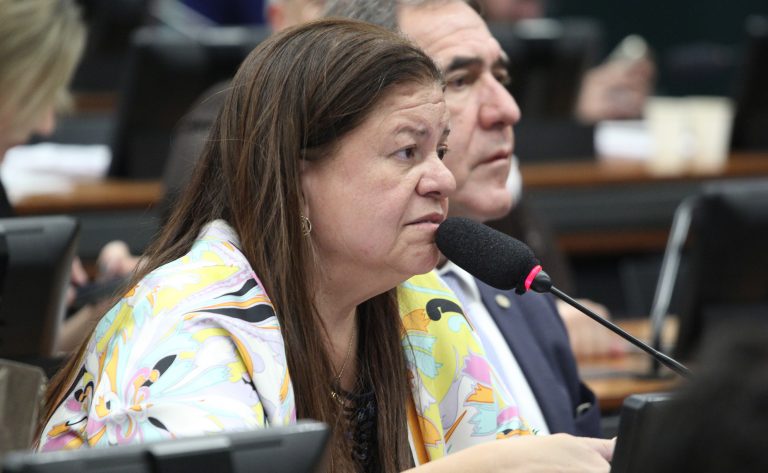 Deputada Federal Laura Carneiro