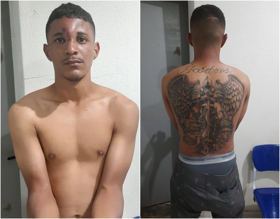 Reprodução