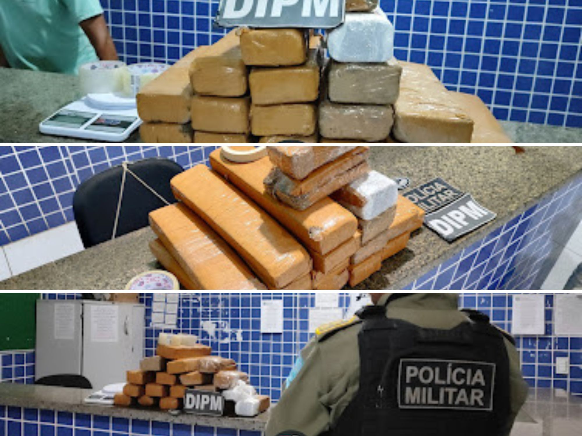 Reprodução