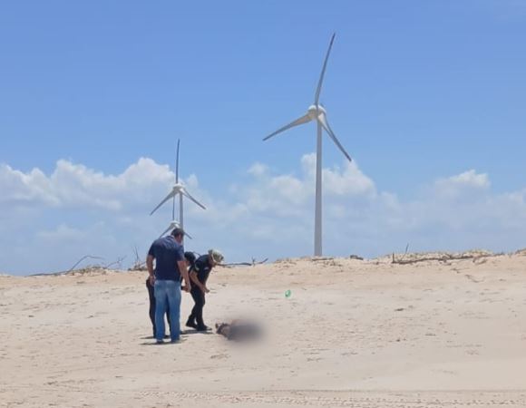 Saiba quem é o homem encontrado amarrado e com o rosto desfigurado no litoral do Piauí