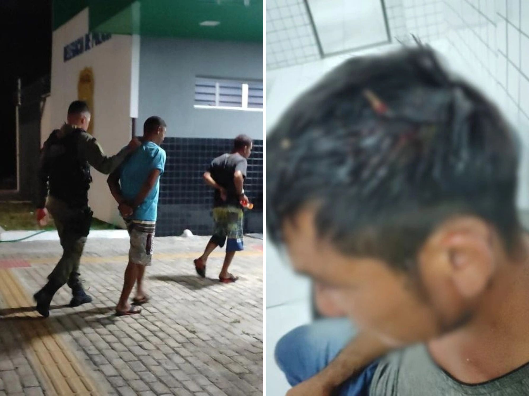 Reprodução