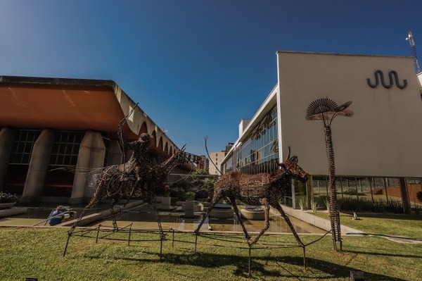 Alepi lança livro sobre os 190 anos do Legislativo piauiense