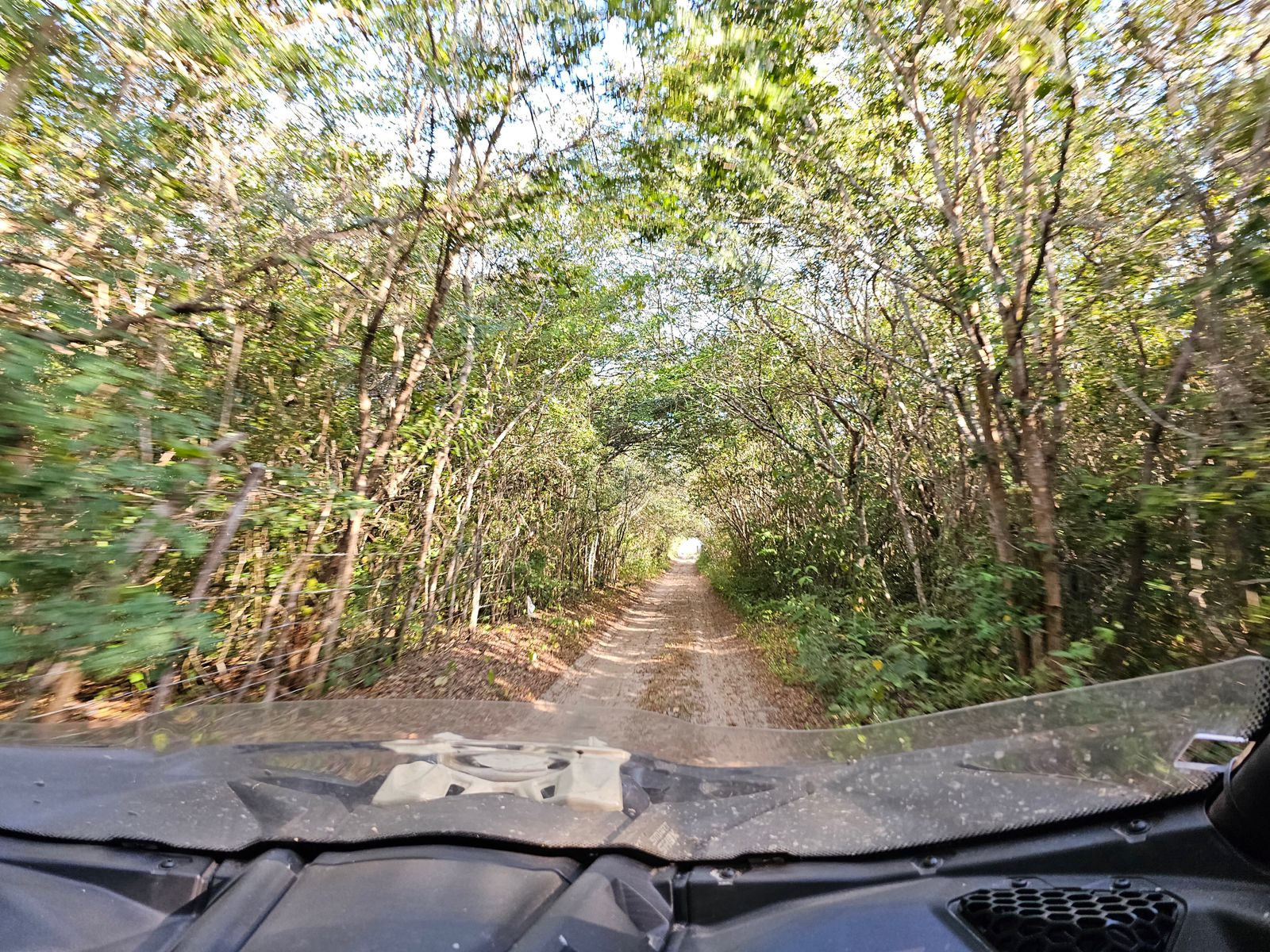 Piauí cria Rede Estadual de Trilhas para impulsionar turismo sustentável