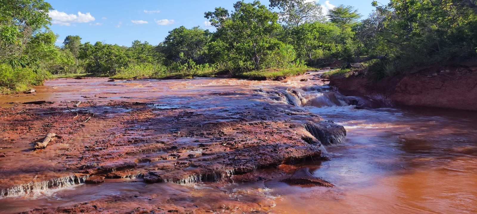 Semarh aprova planos de manejo e reforça conservação ambiental no Piauí