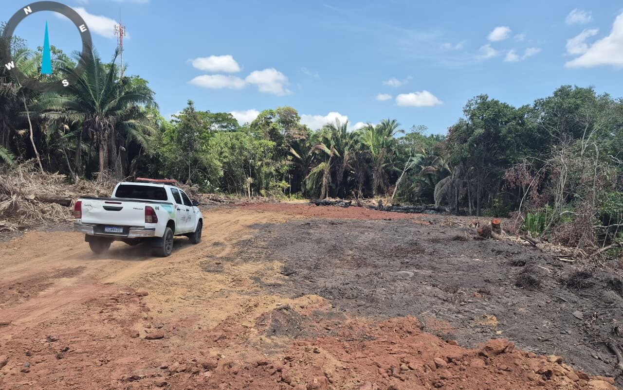 Semarh flagra desmatamento irregular às margens do riacho Itararé em Teresina