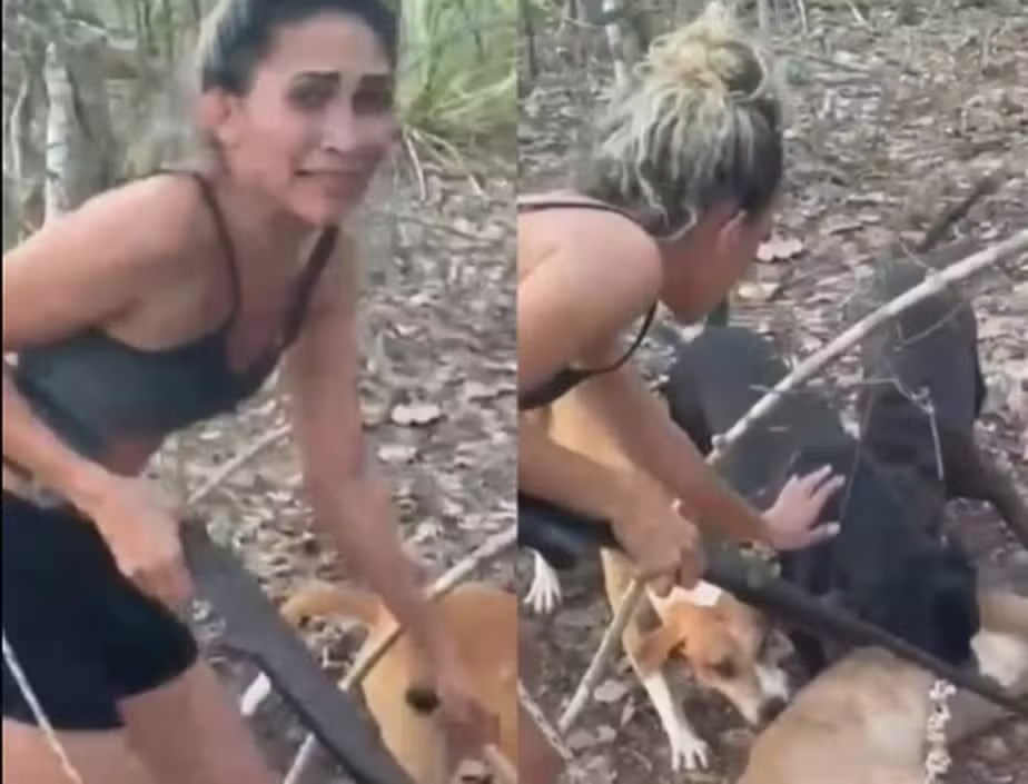 MPF passa a investigar mulher que matou onça-parda no Piauí; pena pode aumentar