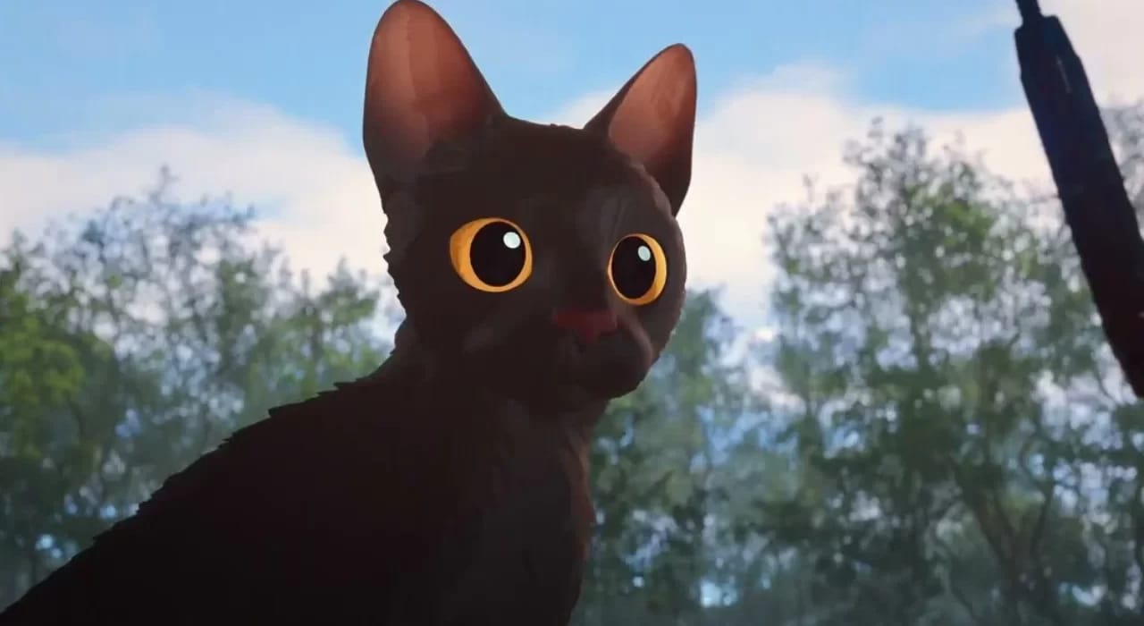 Após Oscar, gatos pretos viram “tipo Flow” e busca por adoção aumenta