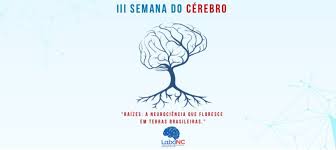 Curso de Psicologia da Uespi promove a III Semana Nacional do Cérebro