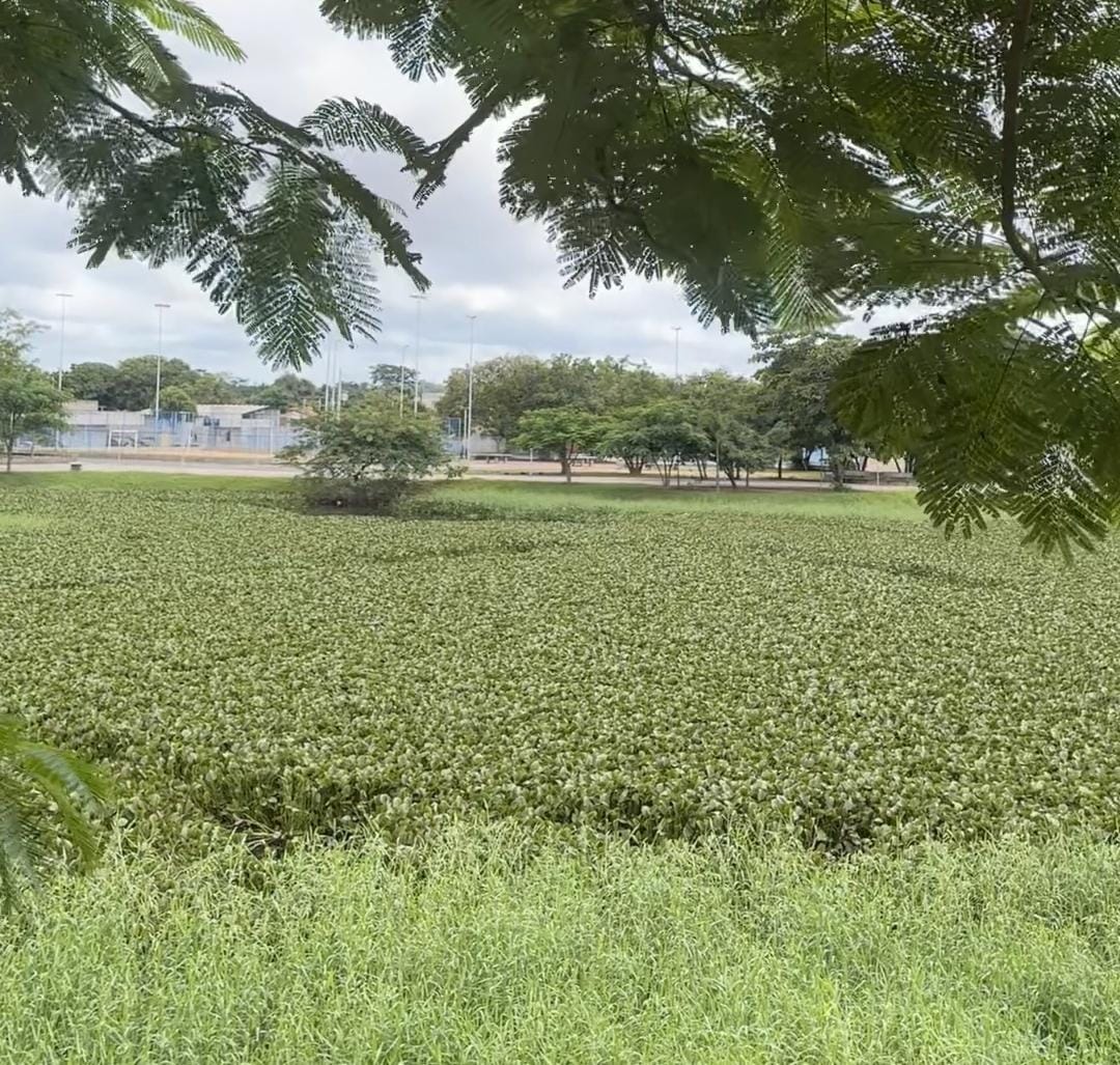 Parque Ambiental Matias Matos