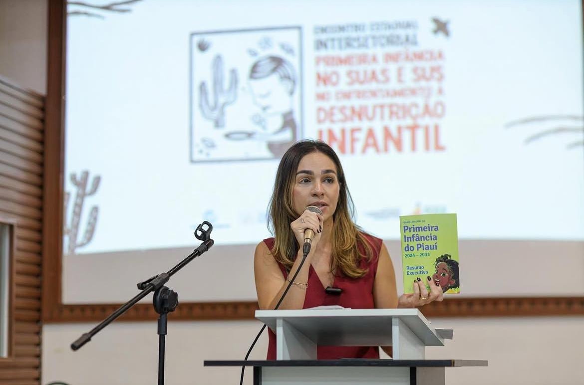 Reprodução / Governo do Piauí