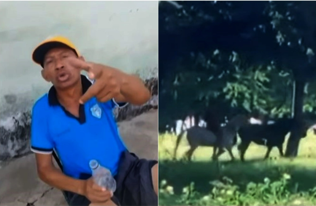 Reprodução