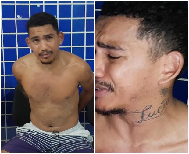 Reprodução