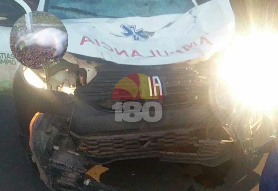 Ambulância de Matias Olimpio fica parcialmente destruída após colidir com animal na BR-222