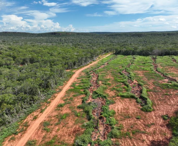 Piauí reduz mais de 12% o desmatamento ilegal em 2024,