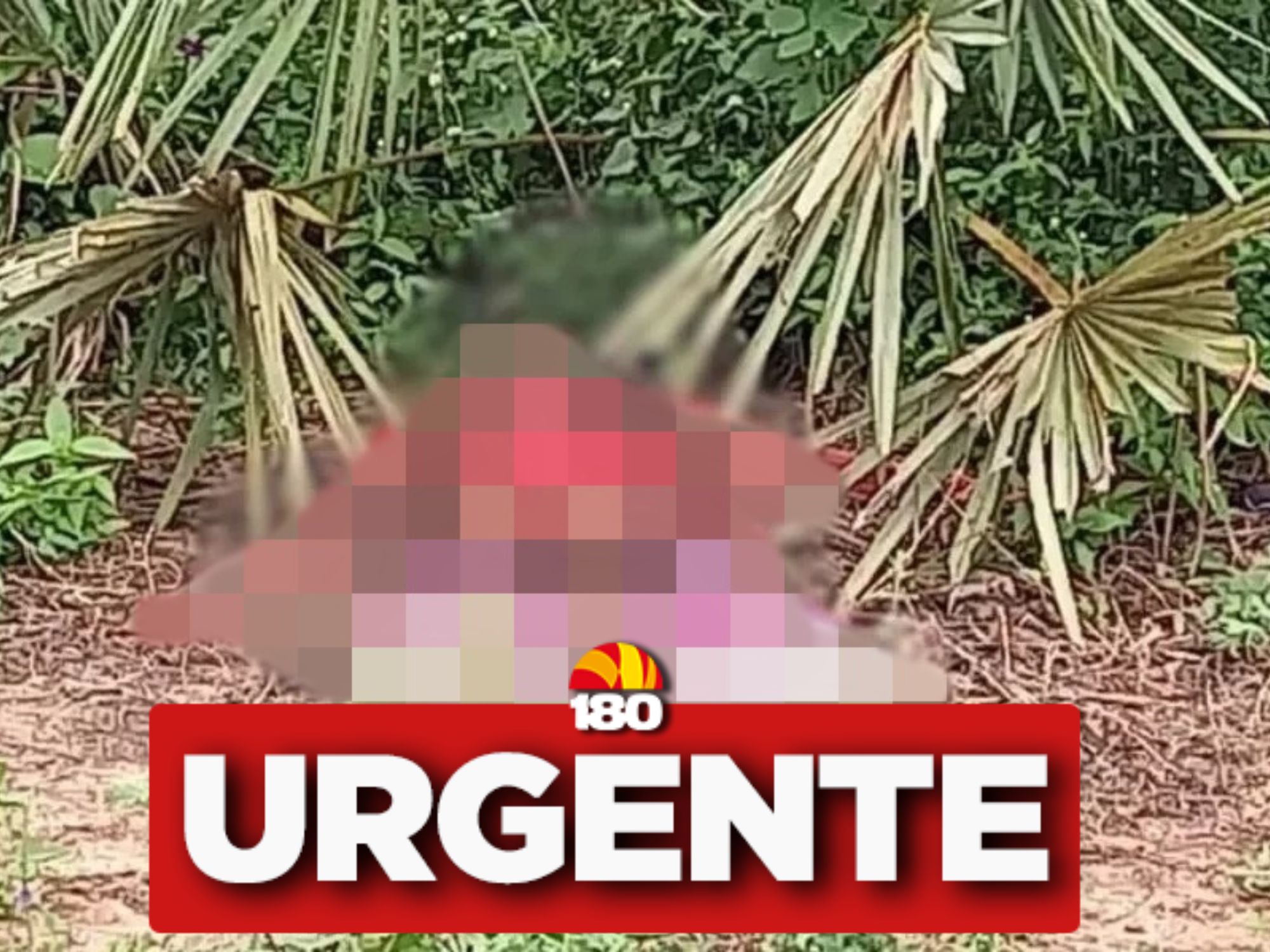 Reprodução PM-PI