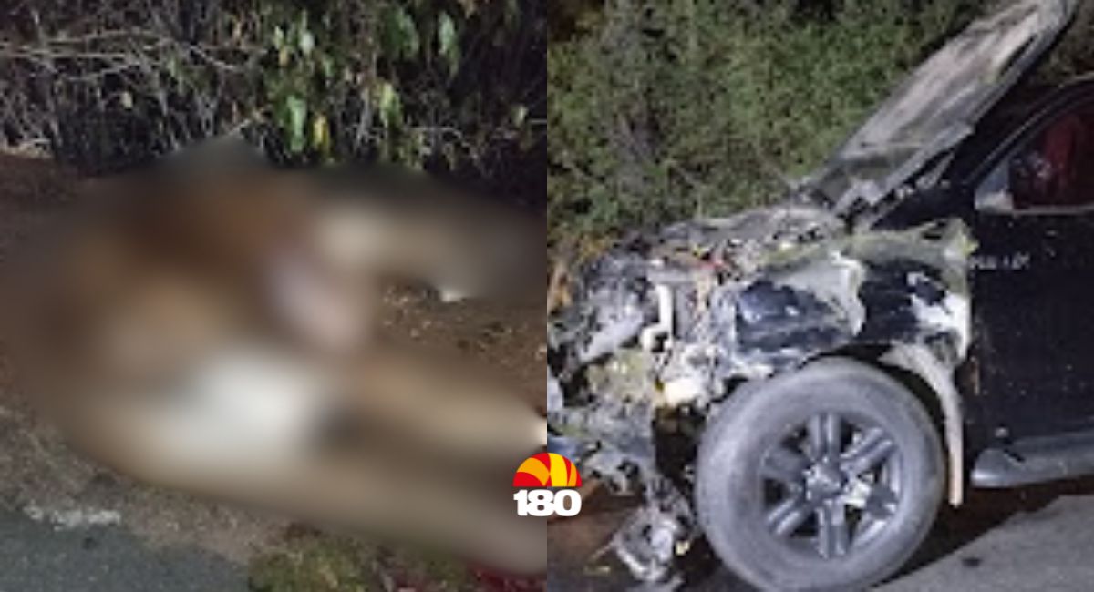 Acidente com animal na PI-115 destrói veículo de prefeitura do interior do Piauí