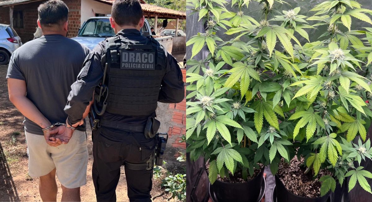 DRACO realiza operação em Pedro II e Ceará para combater tráfico e homicídios