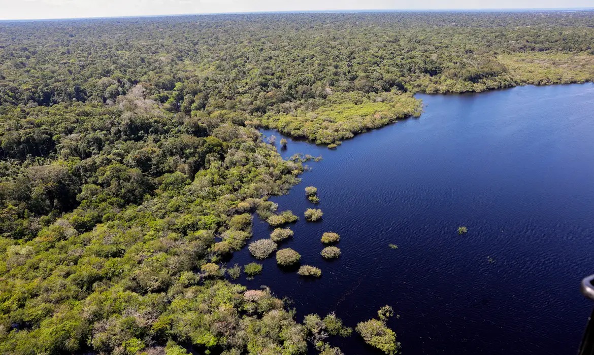 Fundo Amazônia, Mata atlântica, Floresta, Amazônica, Árvores