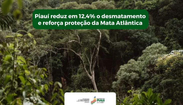 Piauí reduz em 12,4% o desmatamento e reforça proteção da Mata Atlântica