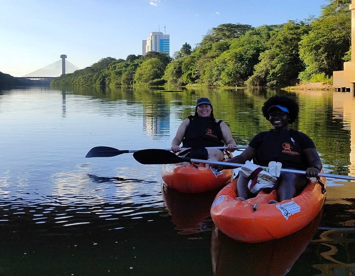 Governo do Piauí