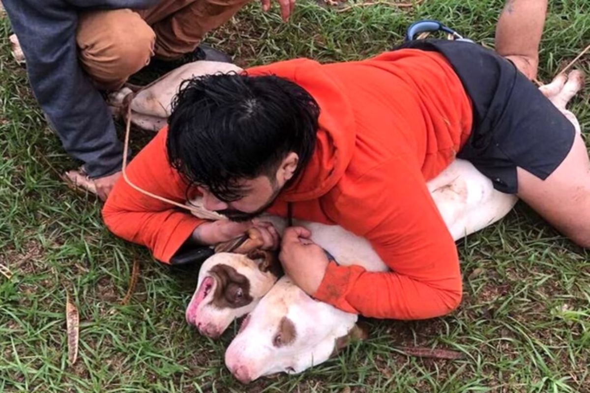 Lutador de muay thai é atacado por dois pit-bulls e consegue imobilizá-los em Ponta Porã