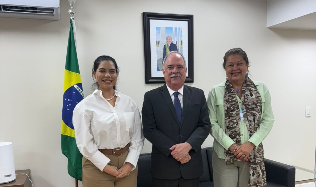 Reprodução / Governo do Piauí