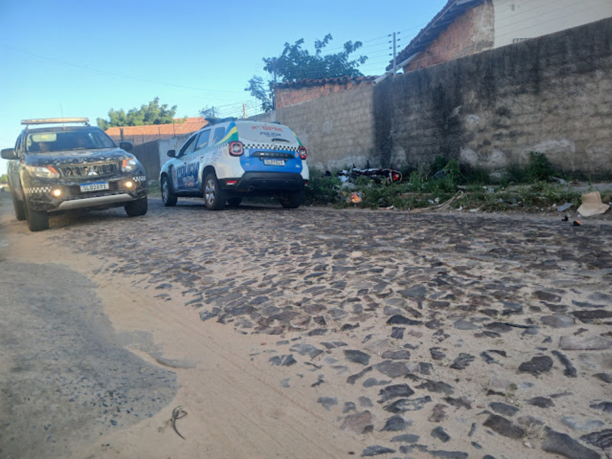 Reprodução