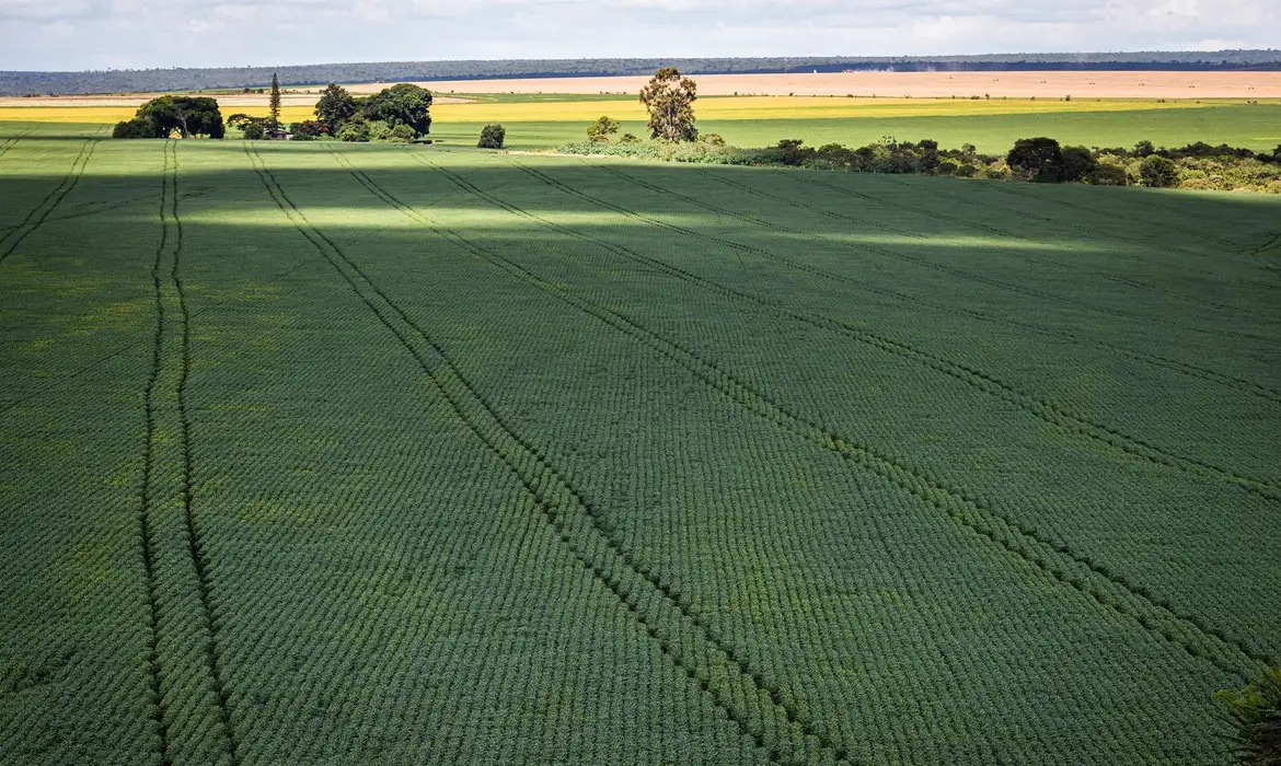 Agronegócio, plantação, cop30, ilustração, fazenda