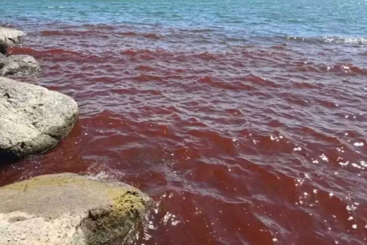 Águas do Mar da Galileia ficam vermelhas por proliferação de algas, mas seguem próprias para uso