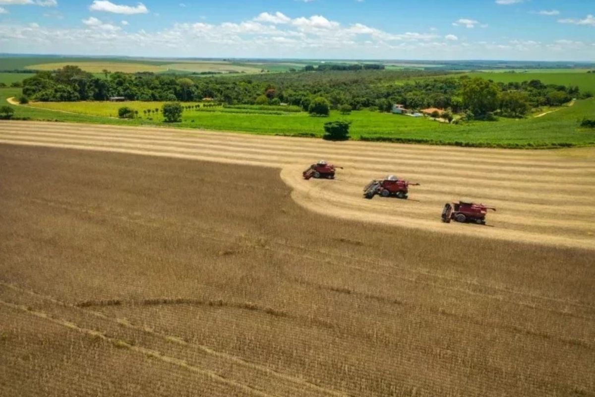 Fazendas bilionárias elevam o agronegócio brasileiro a novo patamar