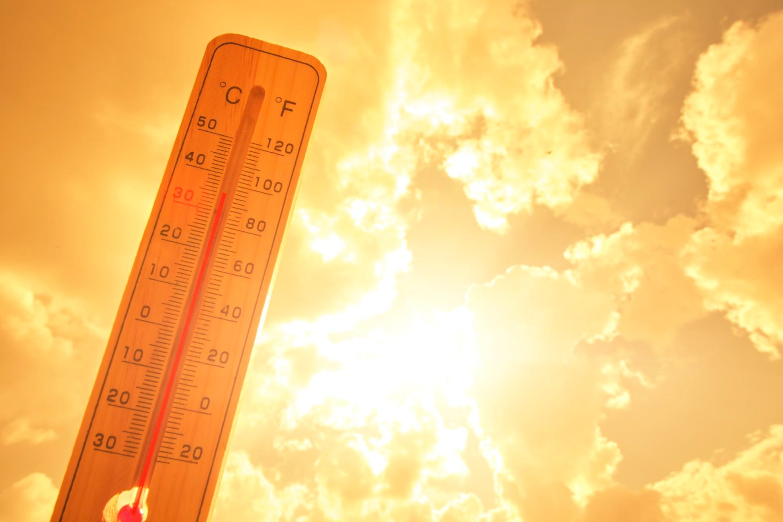 B-R-O Bró em alta: como manter corpo e saúde no calor extremo