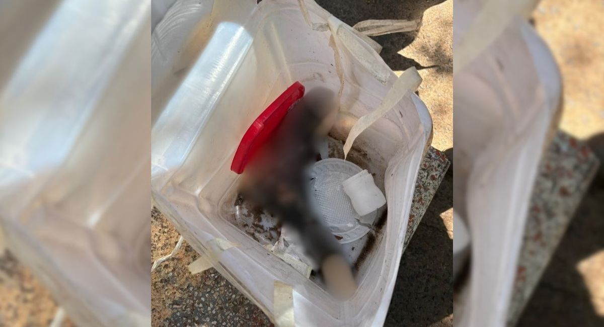 Pé humano achado em cooperativa de reciclagem em São Paulo