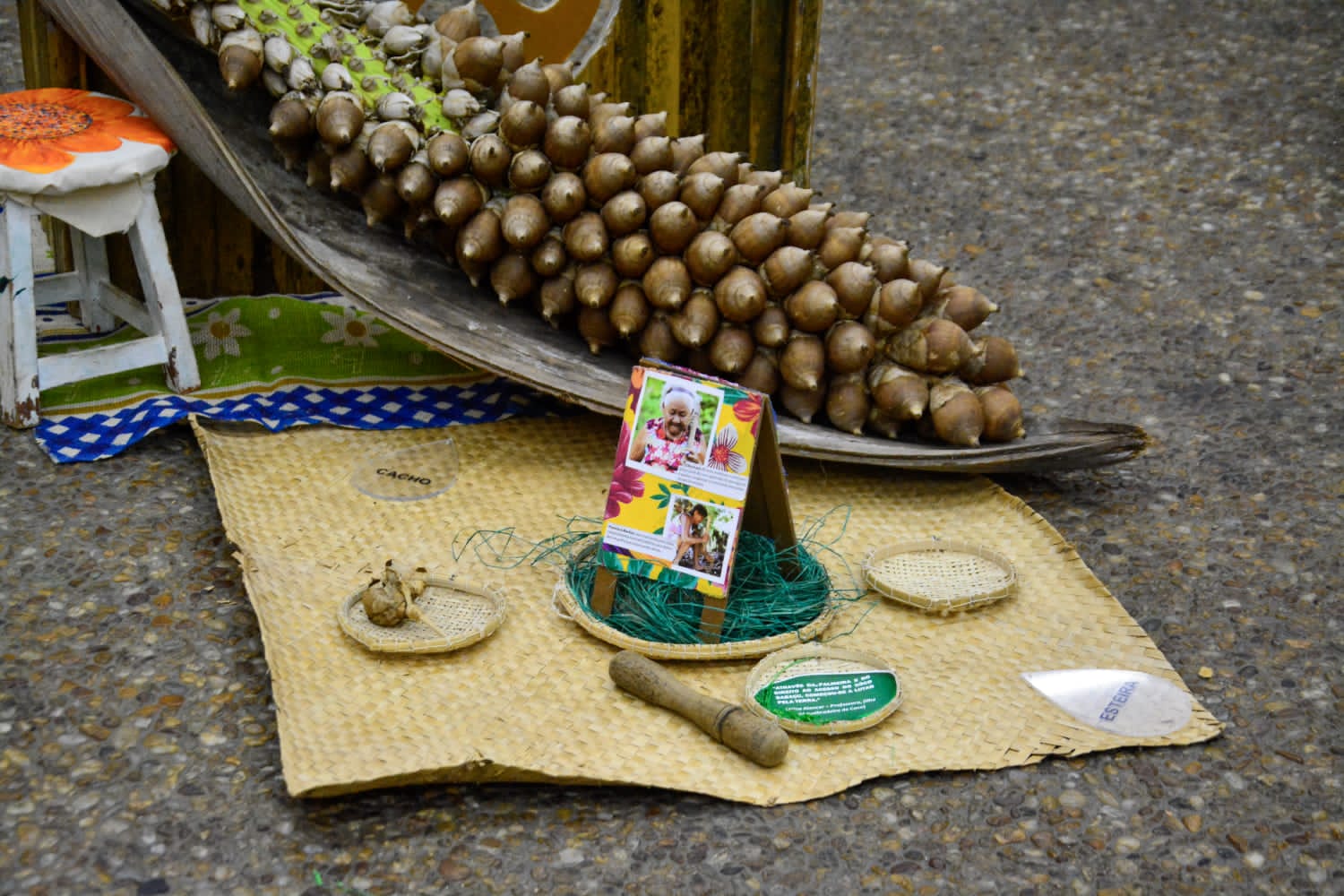 Quebradeiras de Coco Babaçu: legislação reconhece atividade como tradicional do estado