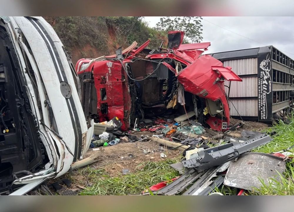 Acidente entre caminhões mata motorista e 5 bovinos na MG-285, em Piraúba